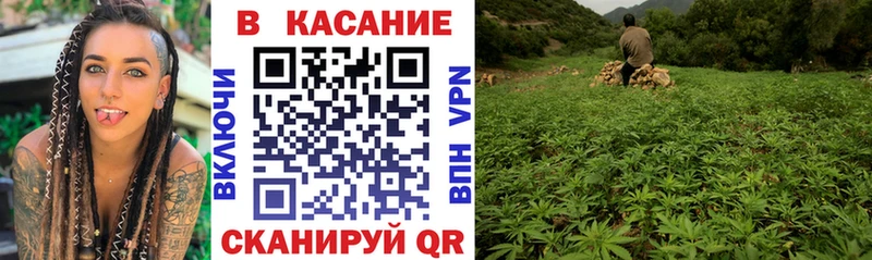 Где продают наркотики Ростов Бошки Шишки  COCAIN  Псилоцибиновые грибы  Гашиш 