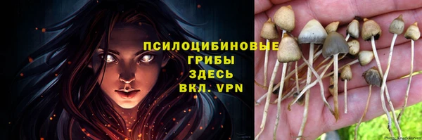 МДМА Бородино