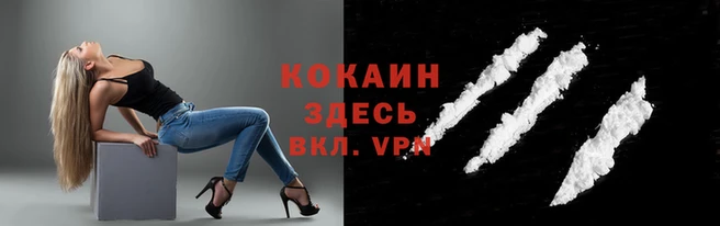 a pvp Карталы