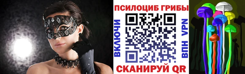 где купить наркотик  Ростов  Галлюциногенные грибы Psilocybine cubensis 